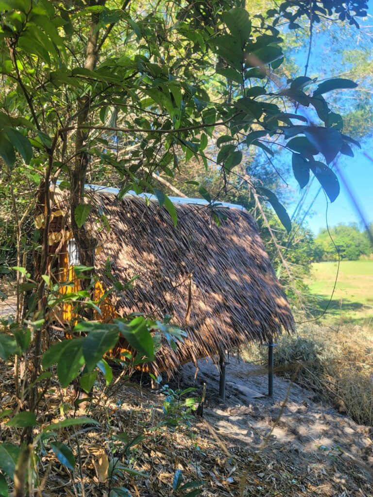 Stay in a bamboo (kubo) hut overlooking a rice patty.